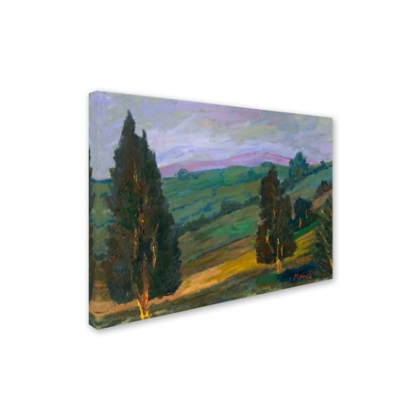 Manor Shadian 'Evergreens On A Green Slope' Canvas Art,35x47